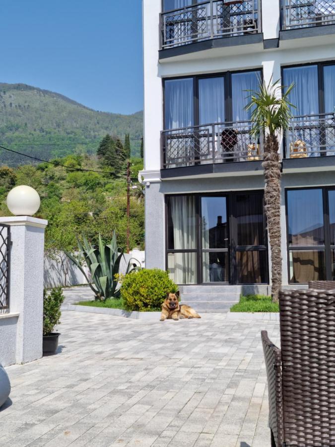 Gega Hotel Gagry Exterior photo